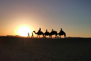 Dinner Show And Sunset Camel Riding At Agafay desert