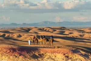 Marrakech: Cena-espectáculo en el desierto de Agafay con quad y camello