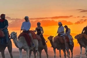 Marrakech: Dinner Show with Camel Ride and Desert Sunset