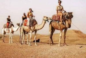 Marrakech: Agafay Desert Tour with Quad, Camel Ride & Dinner