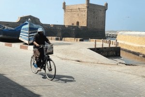 マラケシュ発：エッサウィラへの少人数1日ツアー（港とビーチ）