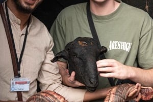 Upptäck Marrakech Street Food med en lokal guide