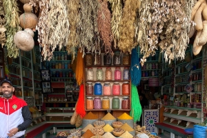 Upptäck Marrakech Street Food med en lokal guide