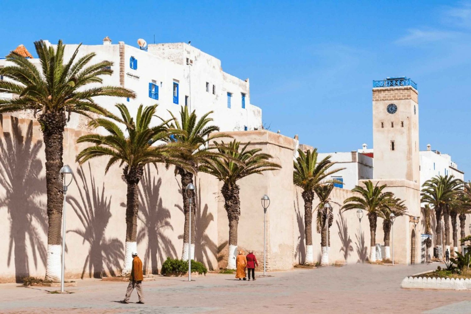Marrakeshista: Marrakesh: Tutustu Essaouiraan kokopäiväretki