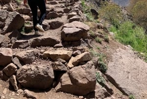 Agafay-öknen: marockansk middagsshow och kamelridning