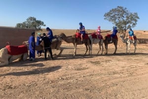 Agafay-öknen: marockansk middagsshow och kamelridning