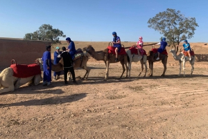 Agafay-öknen: marockansk middagsshow och kamelridning