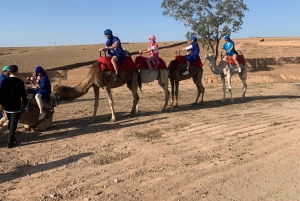 Agafay-öknen: marockansk middagsshow och kamelridning