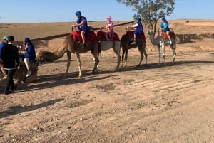 Agafay-öknen: marockansk middagsshow och kamelridning