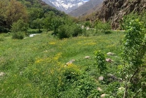 Agafay-öknen: marockansk middagsshow och kamelridning