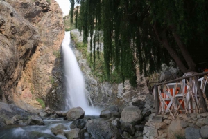Enchanted Falls Expedition:Full-Day Guided Tours with Pickup
