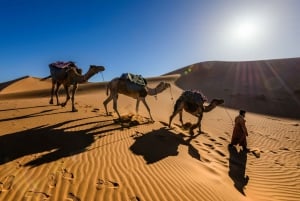 Marrakech: 3-dagers tur til Fez med sandboarding og kamelridning
