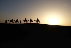 Marrakech: Viagem de 1 dia para Fez com Sandboarding e passeio de camelo