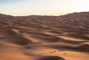 Marrakech : Voyage de 3 jours à Fès avec surf des sables et promenade à dos de chameau