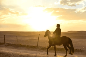 Marraquexe: Transferência privada de/para o aeroporto de Marraquexe