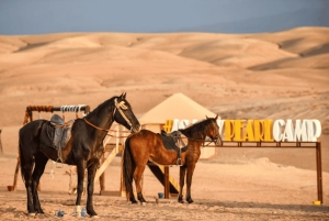 Marraquexe: Transferência privada de/para o aeroporto de Marraquexe