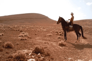 Marraquexe: Transferência privada de/para o aeroporto de Marraquexe