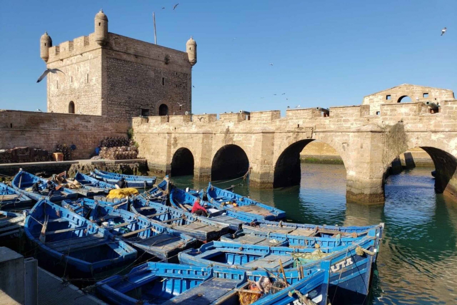 Essaouira & Atlantic Coast Full-Day Tour from Marrakech
