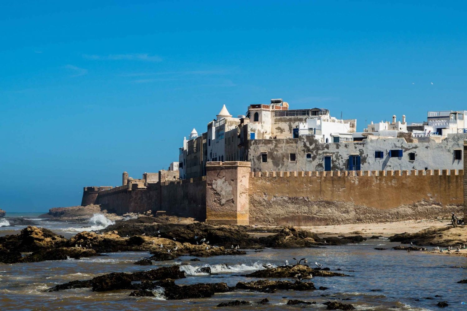 Essaouira Coastal Adventure Full-Day Excursion from Marakech