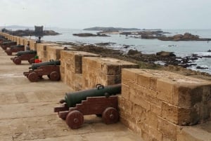 Essaouira Coastal Adventure Full-Day Excursion from Marakech