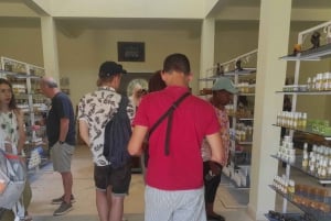 Escursione di un giorno in piccolo gruppo da Marrakech a Essaouira Mogador