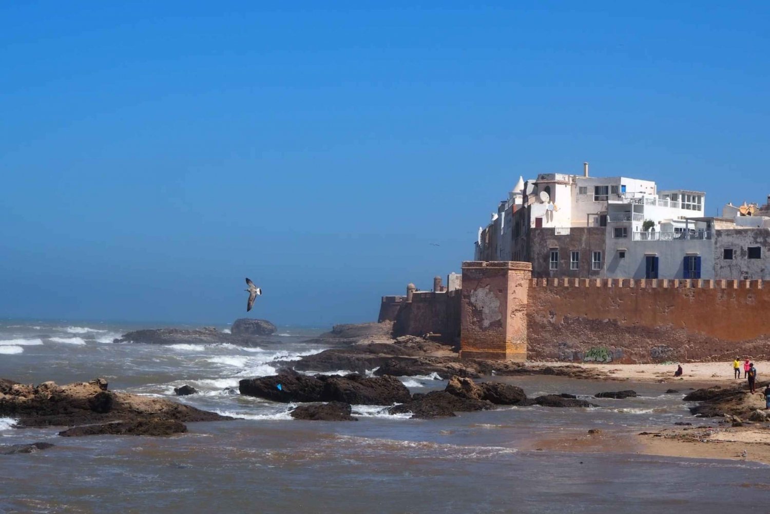 Marrakech: Passeio de um dia em Essaouira com traslados e visita a uma cooperativa