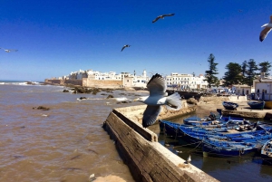 Essaouira Day Trip From Marrakech