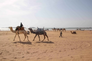 Essaouira Day Trip From Marrakech