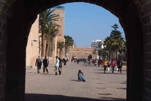 Essaouira Day Trip from Marrakech _ medina, old port