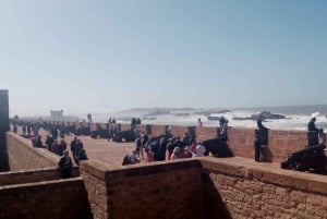 Essaouira Day Trip from Marrakech _ medina, old port