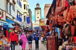 From Marrakech: Small Group to Essaouira & Sekkala Day Trip