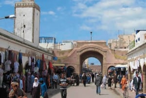 From Marrakech: Small Group to Essaouira & Sekkala Day Trip