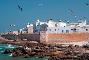 From Marrakech: Small Group to Essaouira & Sekkala Day Trip
