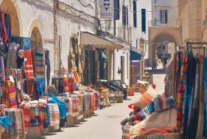 From Marrakech: Small Group to Essaouira & Sekkala Day Trip