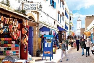 From Marrakech: Small Group to Essaouira & Sekkala Day Trip