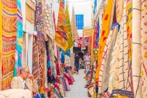 From Marrakech: Small Group to Essaouira & Sekkala Day Trip