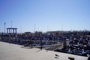 From Marrakech: Day Trip to Essaouira with Transfers