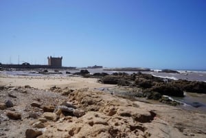 From Marrakech: Day Trip to Essaouira with Transfers