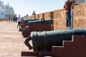 From Marrakech: Day Trip to Essaouira with Transfers