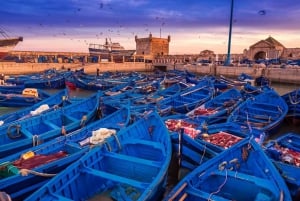 From Marrakesh: Essaouira Full-Day Tour