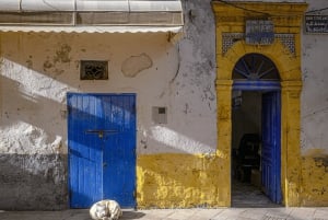 Escursione di un giorno in piccolo gruppo da Marrakech a Essaouira Mogador