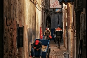 Escursione di un giorno in piccolo gruppo da Marrakech a Essaouira Mogador
