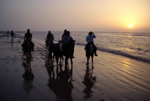 Essaouira: Full-Day Horse Riding Tour with Lunch