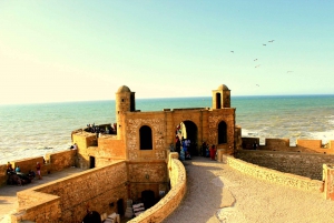 From Marrakesh: Essaouira Full-Day Tour