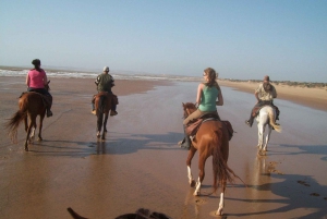 Essaouira Full day trip from Marrakech &Lunch & Moroccan tea