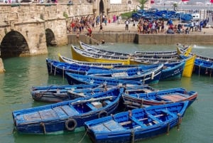 Passeio de um dia inteiro em Essaouira: de Marrakech