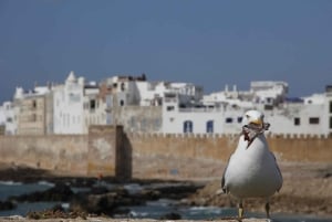 Passeio de um dia inteiro em Essaouira: de Marrakech