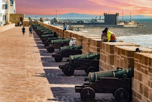 Essaouira Mogador Full-Day Group Tour from Marrakech