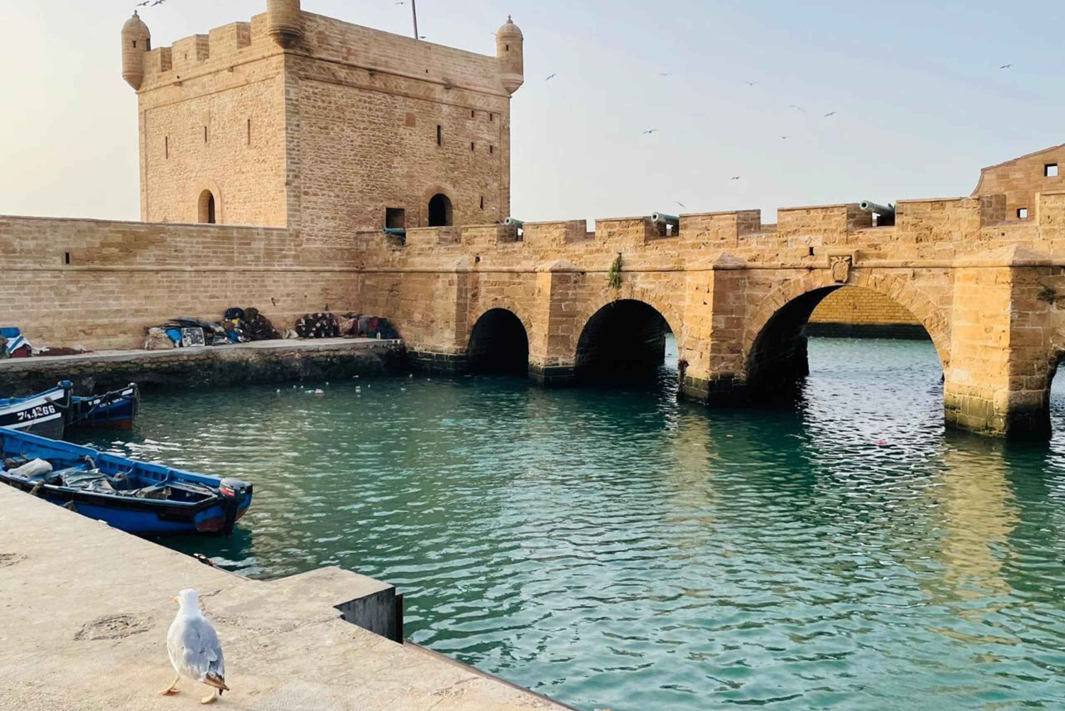 Essaouira: Sqala du Port, citadellet, fiskmarknaden och medina-rundtur