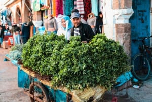 Essaouira : visite de la Sqala du Port, de la citadelle, du marché aux poissons et de la médina